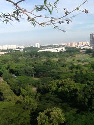 Blk 315A Ang Mo Kio Street 31 (Ang Mo Kio), HDB 5 Rooms #131188232